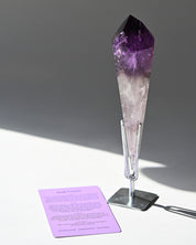 Double Terminated Bahia Amethyst Phantom on Stand