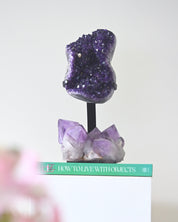 Statement Amethyst Crystal Geode on Stand 11.6bs