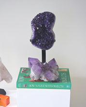 Statement Amethyst Crystal Geode on Stand 11.6bs