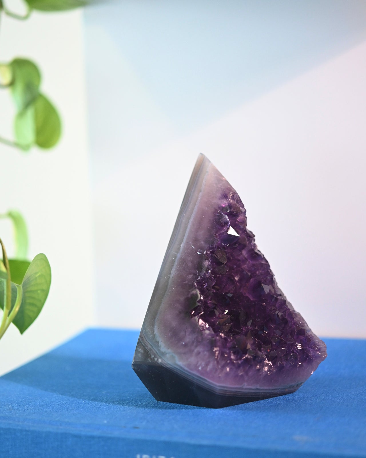 Amethyst Druzy Pyramid 5 inch