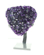 Statement Uruguayan Amethyst Cluster on Stand 10.7 lbs