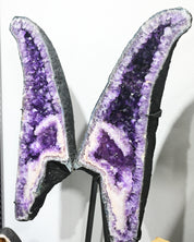 Amethyst Geode Wings – 243.7 lb (One of One)