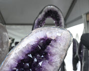 Amethyst Geode Wings – 282.2 lb (One of One)
