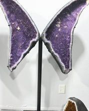 Amethyst Geode Wings – 146.4 lb (One of One)