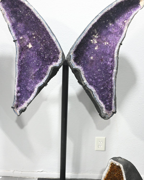 Amethyst Geode Wings – 146.4 lb (One of One)