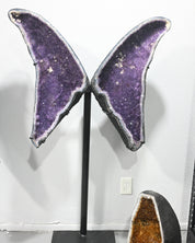 Amethyst Geode Wings – 146.4 lb (One of One)