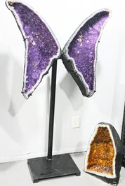 Amethyst Geode Wings – 146.4 lb (One of One)