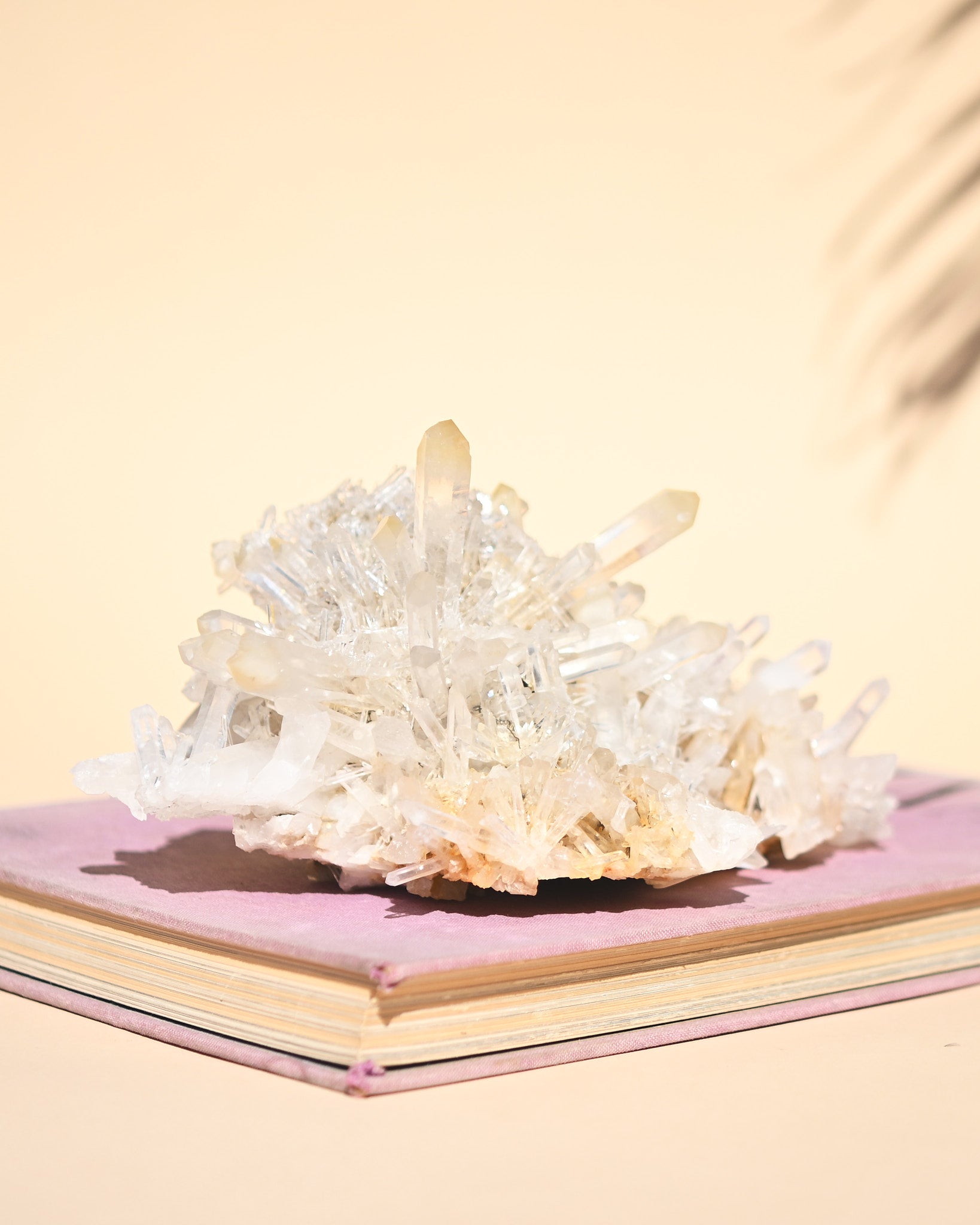 Mango Quartz Lemurian Cluster – Colombia - view 10