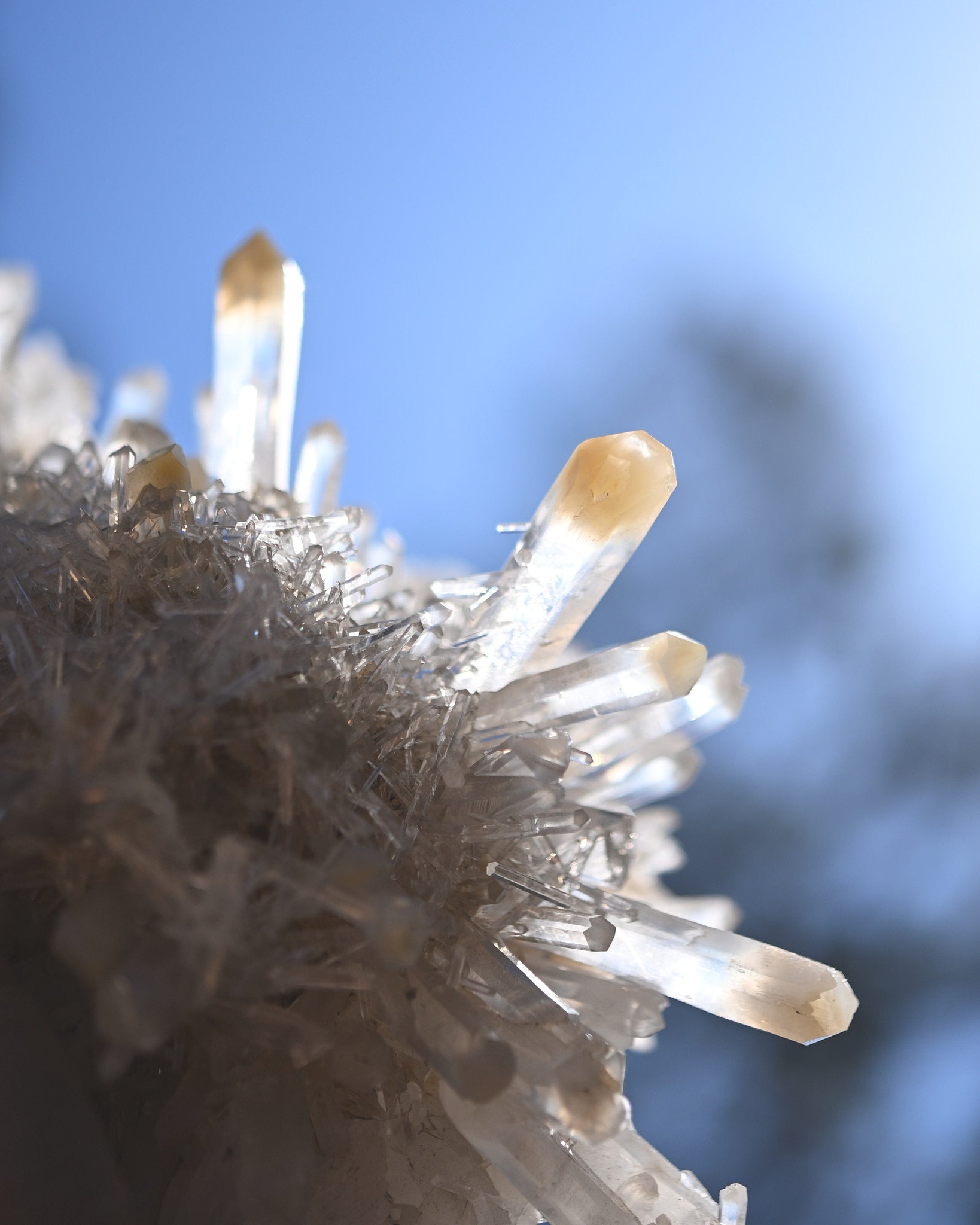 Mango Quartz Lemurian Cluster – Colombia - view 9