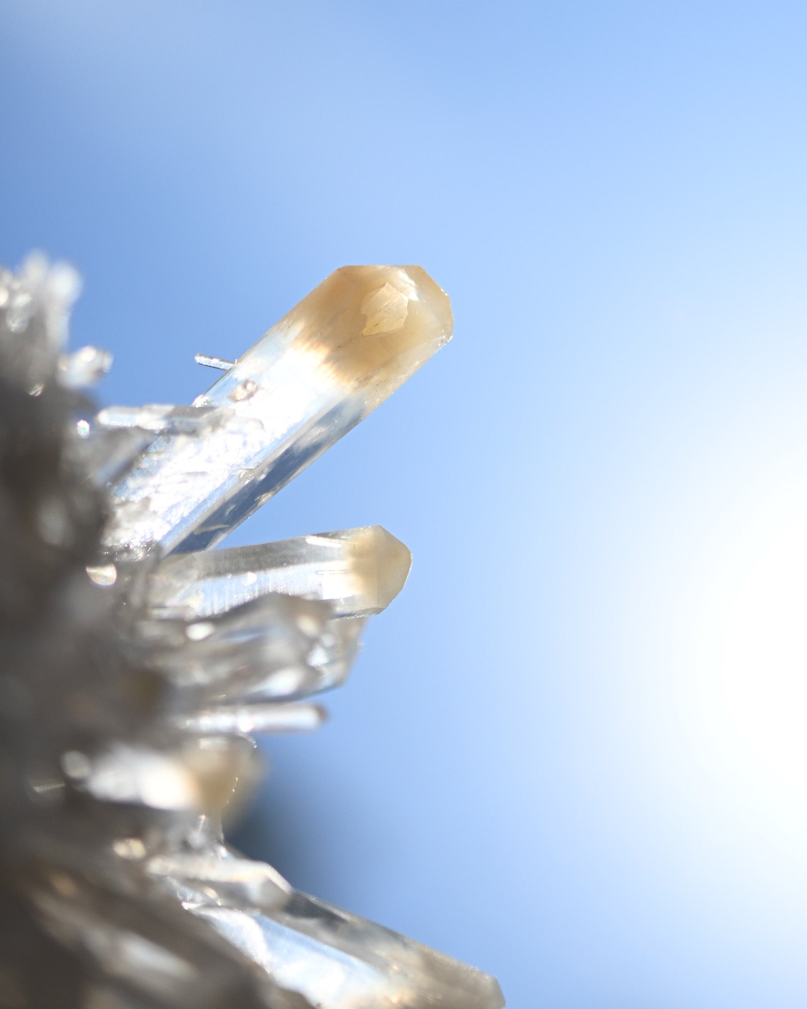 Mango Quartz Lemurian Cluster – Colombia - view 8