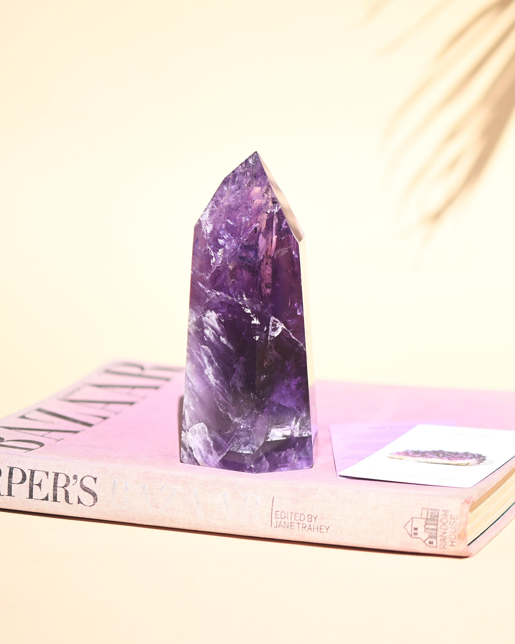 amethyst-point--------__w.1.399kg----7x4x3-----c-180----_v-Sergio----11372.jpg