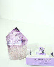 Amethyst Freeform 2153g - Detail
