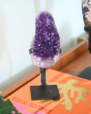 Amethyst Crystal Geode on Stand 3.5lbs