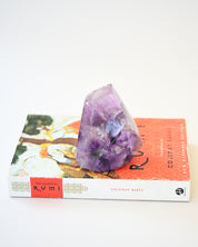 Polished Amethyst 1lb