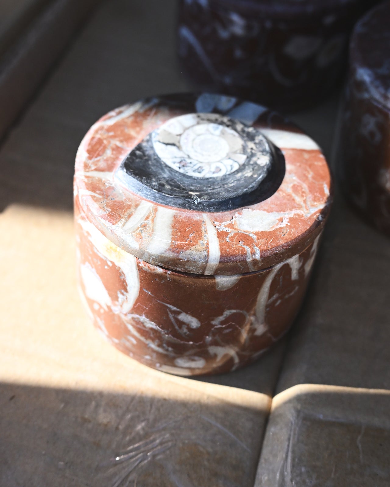 Ammonite Fossil Stone Decor Jar – Morocco