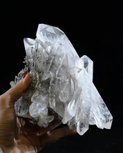 Arkansas Clear Quartz Cluster 3.9 lbs — 6x5x4 inches