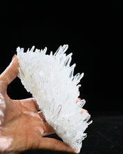 Arkansas Clear Quartz Cluster 0.635 lb — 6x3x3 inches