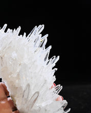 Arkansas Clear Quartz Cluster 0.635 lb — 6x3x3 inches