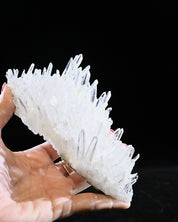 Arkansas Clear Quartz Cluster 0.635 lb — 6x3x3 inches