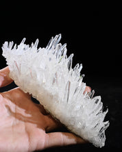 Arkansas Clear Quartz Cluster 0.635 lb — 6x3x3 in