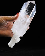 Arkansas Quartz Scepter 0.975 lb — 7x3 in