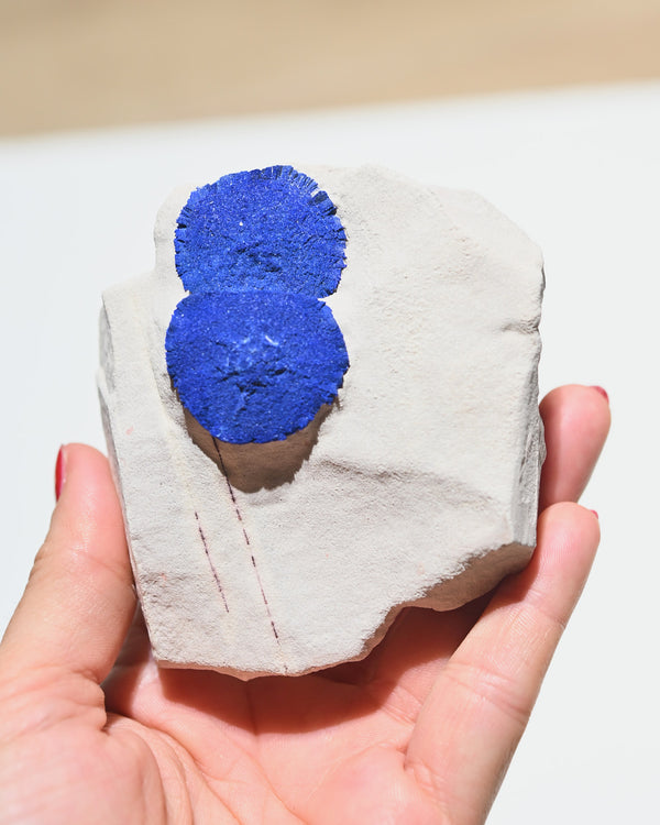 Azurite sun rosettes on limestone matrix, vivid cobalt blue, 204 grams