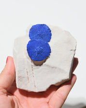 Double azurite sun formation showing radial crystal growth pattern