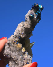 Chalcopyrite on Druzy Quartz Casteel Mine 0.255 lb