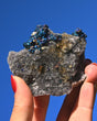 Chalcopyrite on Druzy Quartz 0.305 lb — Casteel Mine