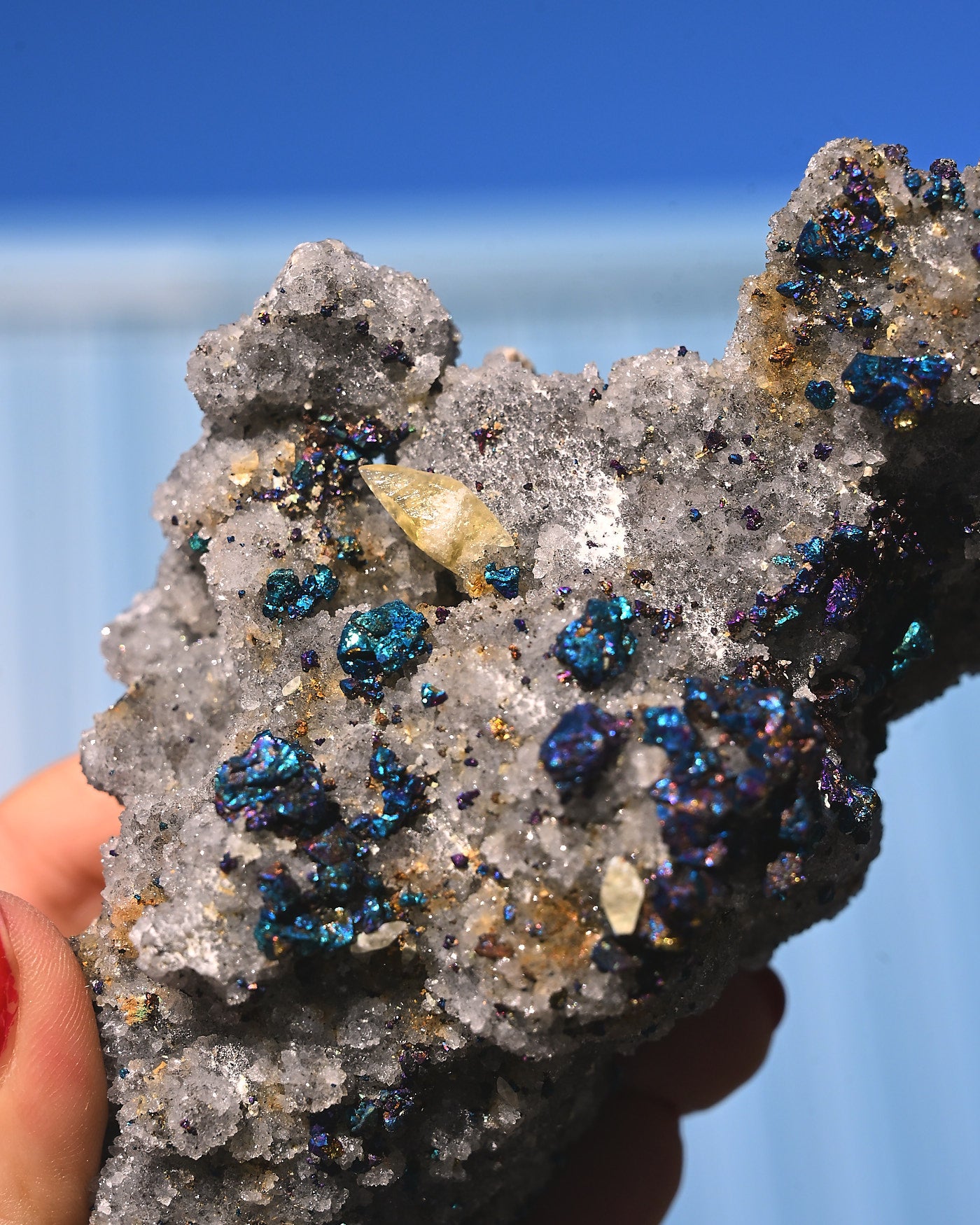 Chalcopyrite on Druzy Quartz Casteel Mine 0.755 lb