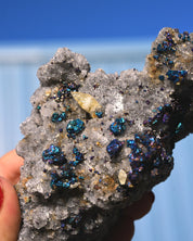 Chalcopyrite on Druzy Quartz Casteel Mine 0.755 lb