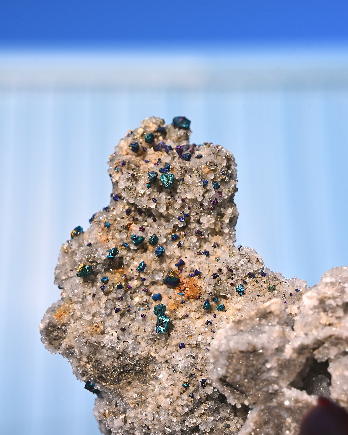 Chalcopyrite on Druzy Quartz Casteel Mine 0.755 lb