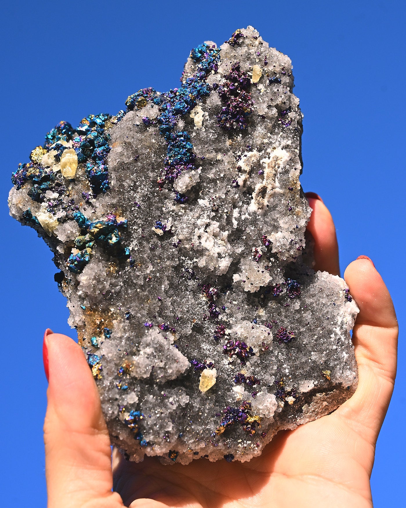 Chalcopyrite on Druzy Quartz Casteel Mine 1.42 lb