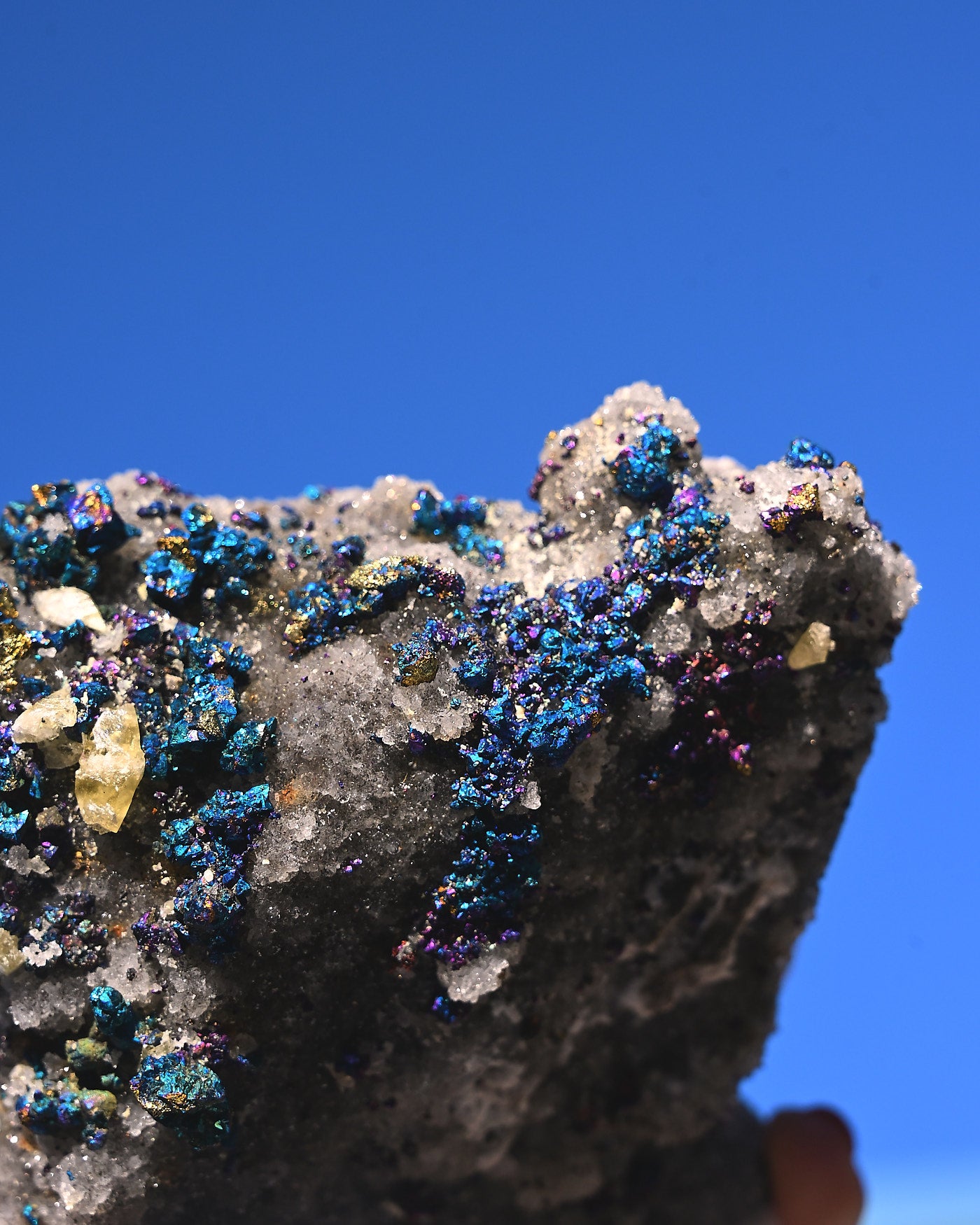 Chalcopyrite on Druzy Quartz Casteel Mine 1.42 lb