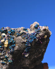 Chalcopyrite on Druzy Quartz Casteel Mine 1.42 lb