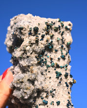 Chalcopyrite on Druzy Quartz Casteel Mine 1.88 lb