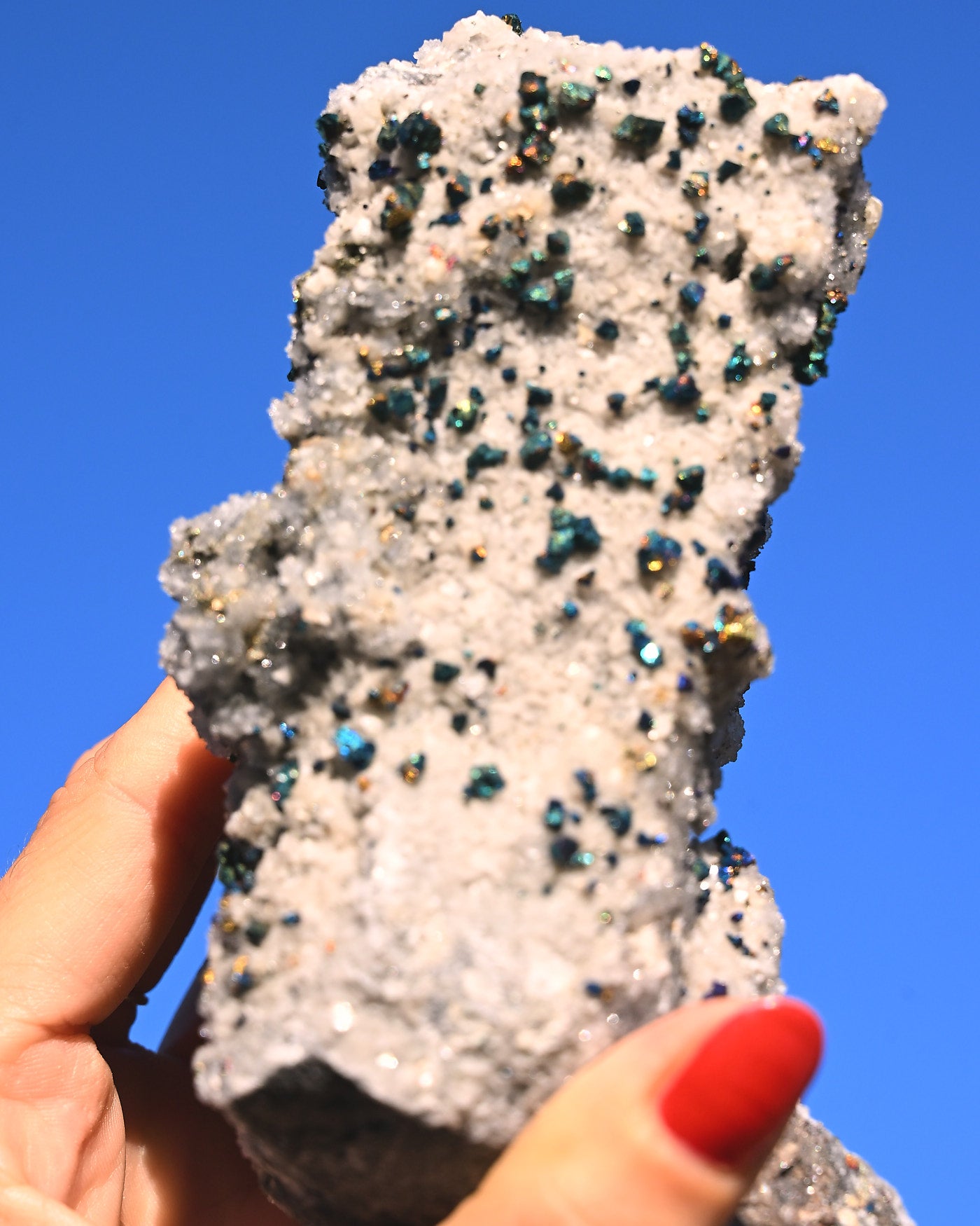 Chalcopyrite on Druzy Quartz Casteel Mine 1.88 lb