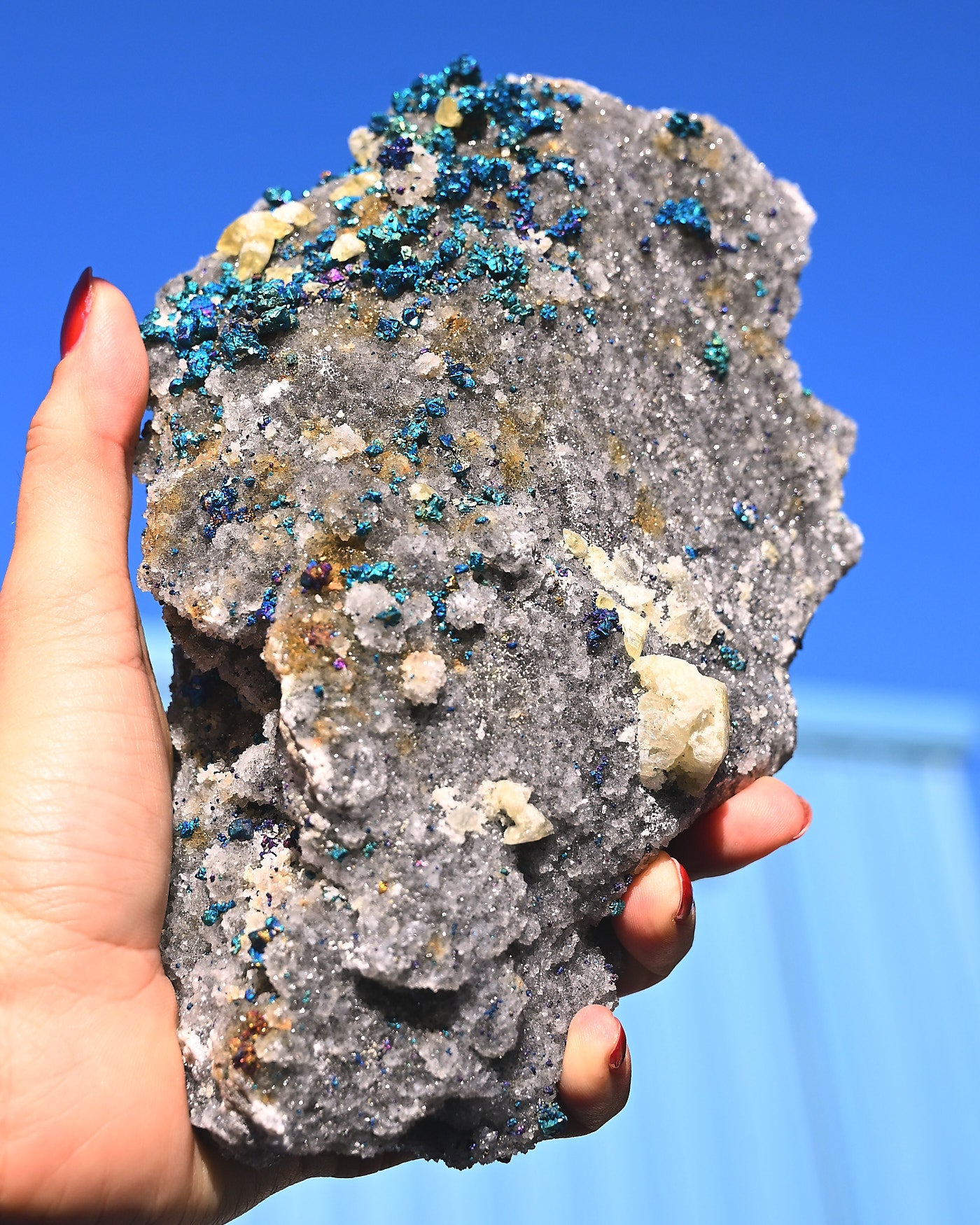 Chalcopyrite on Druzy Quartz Casteel Mine 4.115 lb