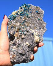 Chalcopyrite on Druzy Quartz Casteel Mine 4.115 lb