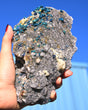 Chalcopyrite on Druzy Quartz Statement 4.115 lbs — Casteel Mine