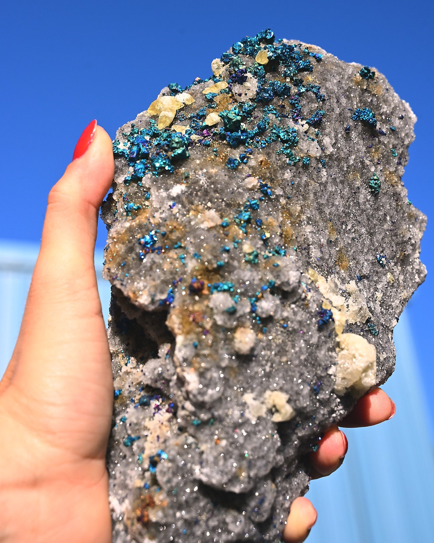 Chalcopyrite on Druzy Quartz Casteel Mine 4.115 lb