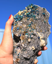Chalcopyrite on Druzy Quartz Casteel Mine 4.115 lb