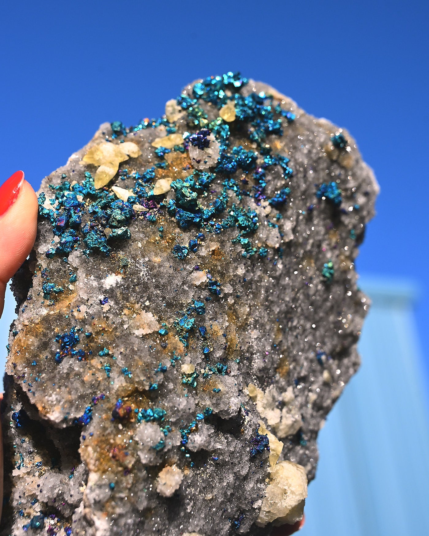 Chalcopyrite on Druzy Quartz Casteel Mine 4.115 lb