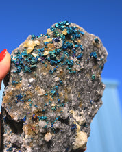 Chalcopyrite on Druzy Quartz Casteel Mine 4.115 lb