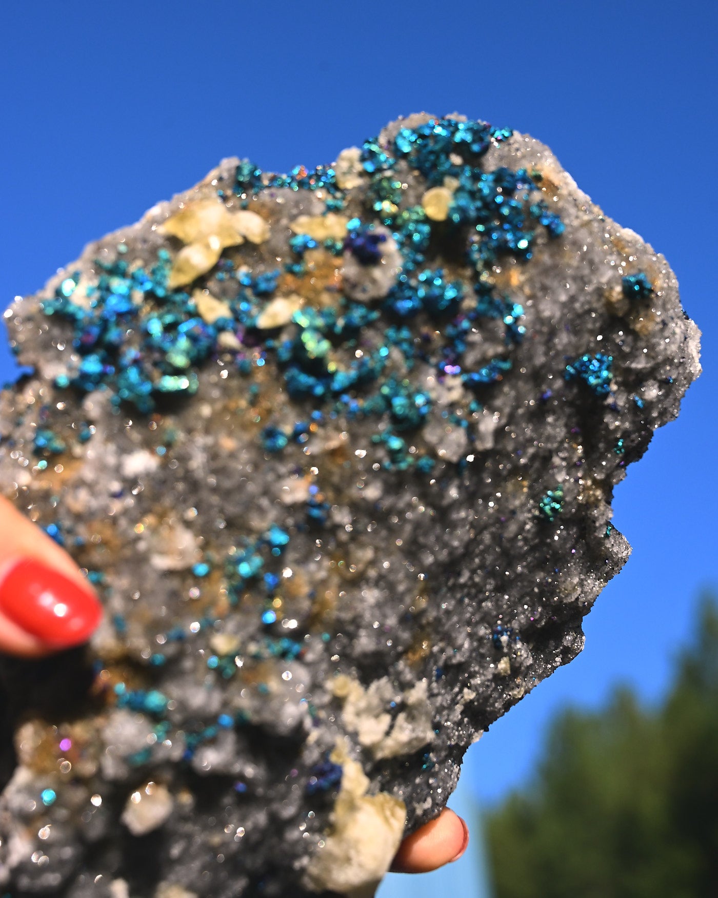 Chalcopyrite on Druzy Quartz Casteel Mine 4.115 lb