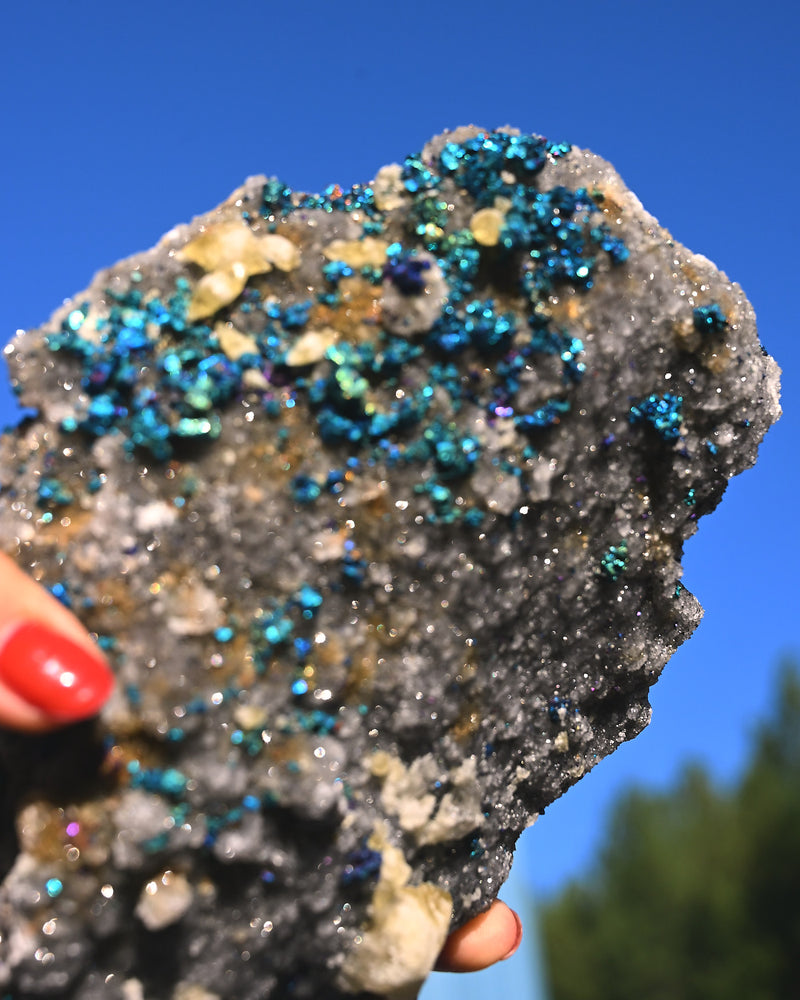 Chalcopyrite on Druzy Quartz Statement 4.115 lbs — Casteel Mine