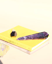 Bahia Double-Terminated Amethyst 10in