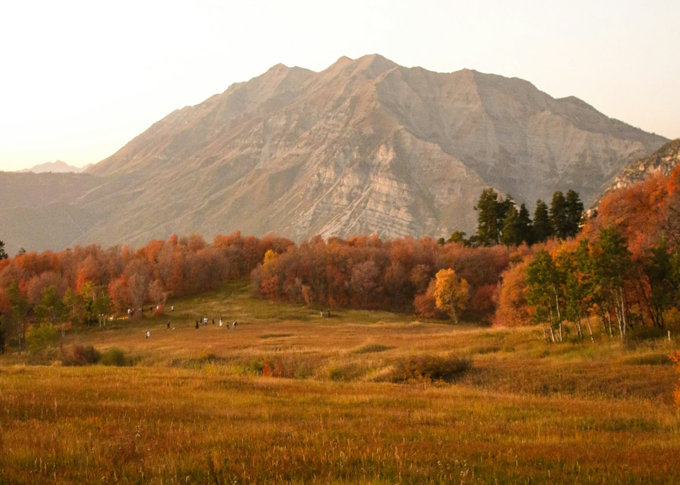 where to buy real crystals