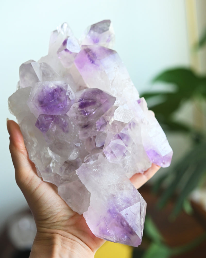 3.3lbs XL Bolivian Amethyst Cluster