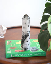 Tourmalated Quartz Tower 4lb
